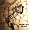 Download track Grenades