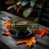 Download track Cozy Jazz In Autumn Breeze