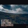 Download track A Little Something Has Changed