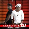 Download track Llegaste Tú (J Manny)