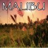 Download track Malibu - Tribute To Miley Cyrus (Instrumental Version)