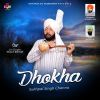 Download track Dhokha