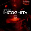 Download track Incognita (Tizzøt Remix)