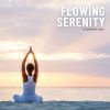 Download track Soft Serenity