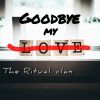 Download track Goodbye My Love