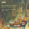 Download track Symphony In D Minor, Op. 19: I. Allegro Moderato