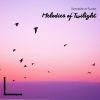 Download track Twilight Serenade