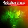 Download track Song Of Divine -13 Minutes Meditaton Mix