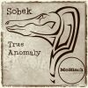 Download track True Anomaly