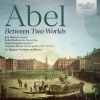 Download track Abel: Concerto Flauto Traverso Concertato In E Minor, AbelWV F14: II. Adagio