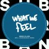 Download track What We Feel (Original Mix)