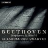 Download track 09 - Chiaroscuro Quartet - I. Allegro