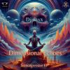 Download track Dimensional Echo