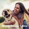 Download track Música De Piano Para Perros