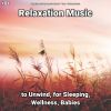 Download track Relaxation Music, Pt. 48