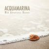 Download track Acquamarina (Acoustic Remix)