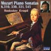 Download track Piano Sonata No. 11 In A Major, K. 331: I. Andante Grazioso