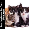 Download track Music For Calming Cats And Kittens, Pt. 20