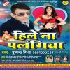 Download track Garam Bhail Ba Mohala