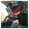 Download track Roda Gigante