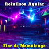 Download track Flor Do Mamulengo (Cover)