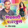 Download track Pichkari Jagahe Pa Chhua Ke