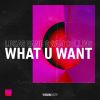 Download track What U Want (Extended Mix)