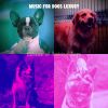 Download track Dream Like Ambience For Lonely Dogs