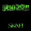 Download track Black Mamba (Radio Edit)