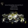 Download track Ich Glaube- Lieber Herr- Hilf Meinem Unglauben- BWV 109 - Aria- Der Heiland Kennet Ja Die Seinen (Alto)