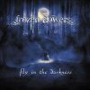 Download track Fly In The Darkness