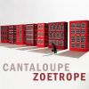 Download track Zoetrope