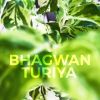 Download track Turiya