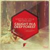 Download track Caught In A Deep Forest (Original Mix)