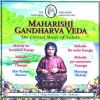 Download track Raga Deshkara 04