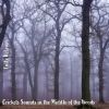 Download track Crickets Sounds In The Middle Of The Woods, Pt. 2