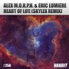 Download track Heart Of Life (Skylex DUB Remix)