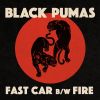 Download track Fast Car