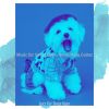 Download track Serene Music For Calming Your Pup