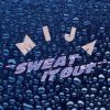 Download track Sweat It Out (Ludwig A. F. Röhrscheid Onsen Dub)