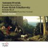 Download track Tchaikovsky Serenade In C Major, Op. 48 IV. Finale. Tema Russo (Andante - Allegro Con Spirito) [Arr. For Piano Duet]