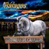 Download track El Macho Men