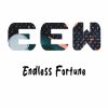 Download track Endless Fortune (Radio Edit)