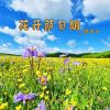 Download track 花开萨日朗 (DJ默涵版伴奏)