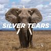 Download track Silver Tears (Monty Luke Remix - Instrumental)