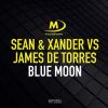 Download track Blue Moon (Original Mix)