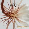 Download track Project Alektro