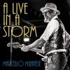 Download track Like A Leaf In A Storm (Live)