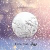 Download track Winter Night