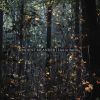 Download track ENCORE (The Ghosts In The Woods)